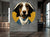 Lovely Dog Buster - Wallpaper Circle